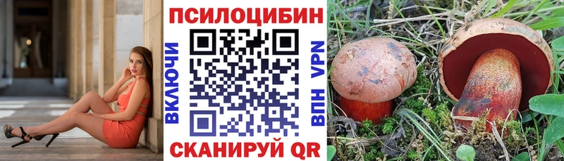 продажа наркотиков  Белгород  Галлюциногенные грибы Psilocybe 